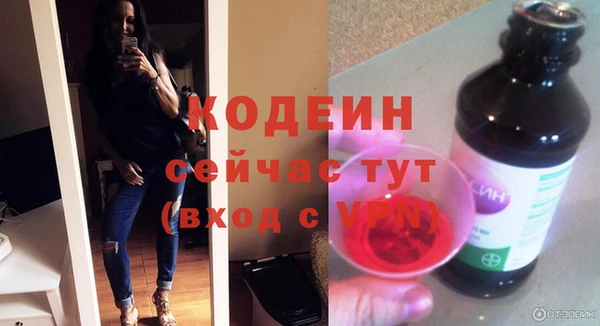 молекула духа Елабуга