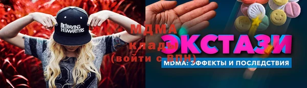 амф Ельня