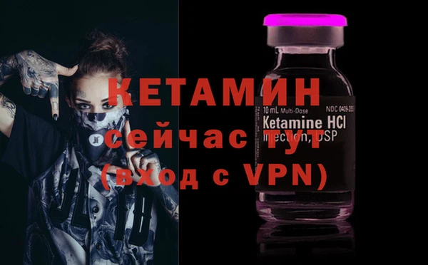 амф Ельня