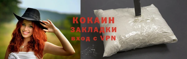 амф Ельня