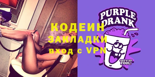 молекула духа Елабуга