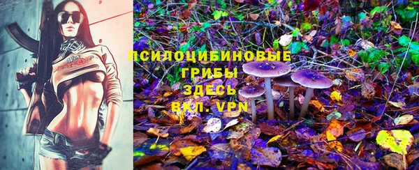 амф Ельня