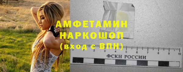 амф Ельня