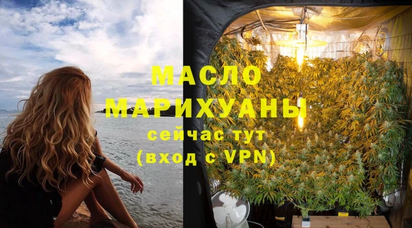 молекула духа Елабуга