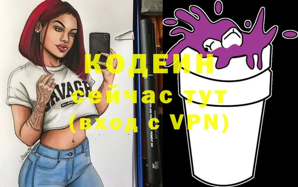 молекула духа Елабуга