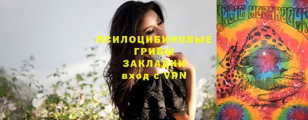 круглые Курчалой