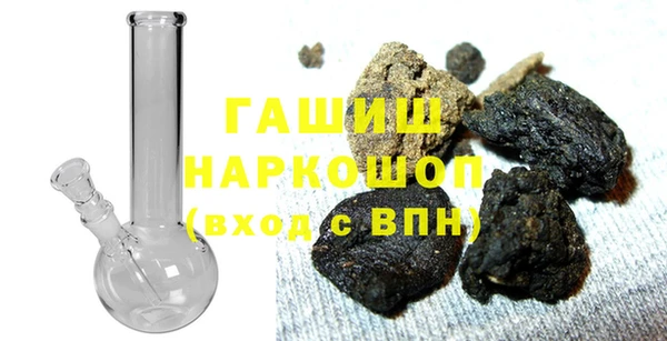 амф Ельня