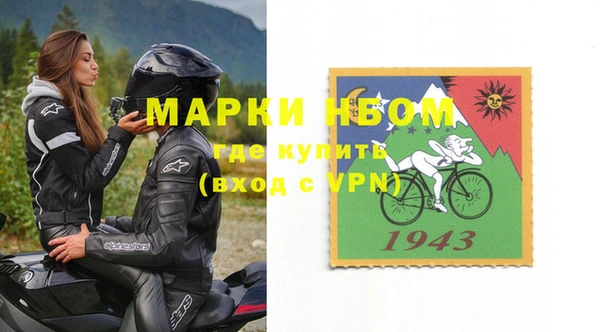 амф Ельня