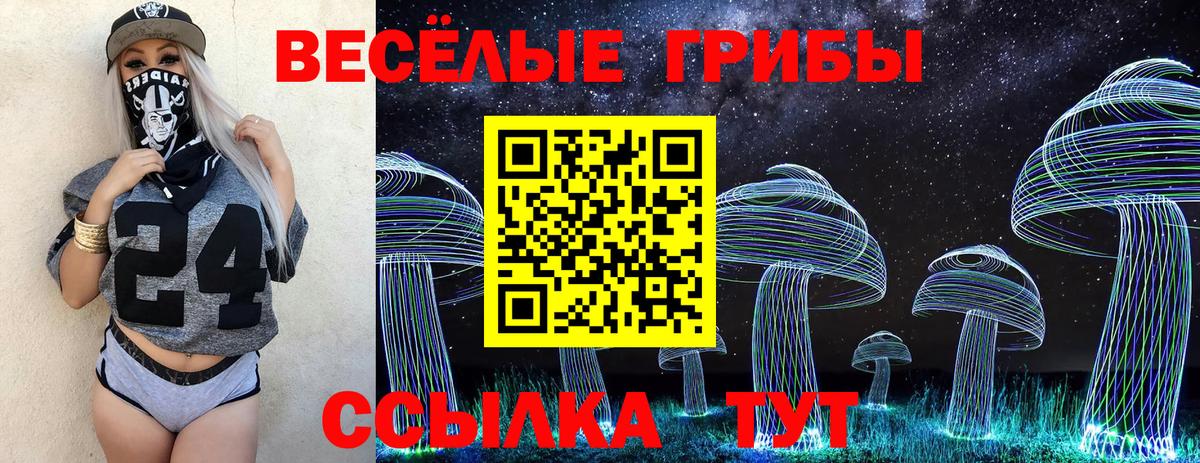 Псилоцибиновые грибы Cubensis  Бузулук 