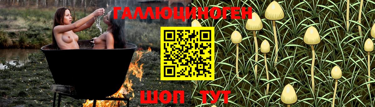 Галлюциногенные грибы MAGIC MUSHROOMS  Вход с VPN  Галлюциногенные грибы прущие грибы  Бузулук 