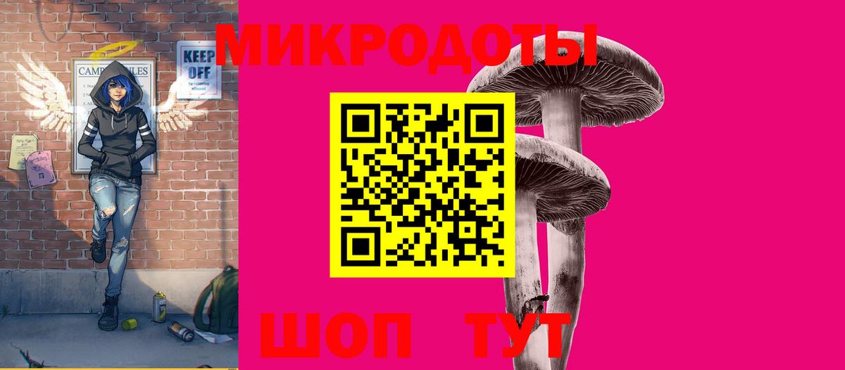 Псилоцибиновые грибы мицелий Бузулук